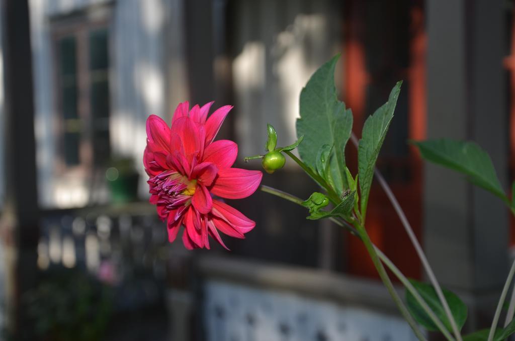 Naestegarden Bed & Breakfast Sätuna Екстериор снимка
