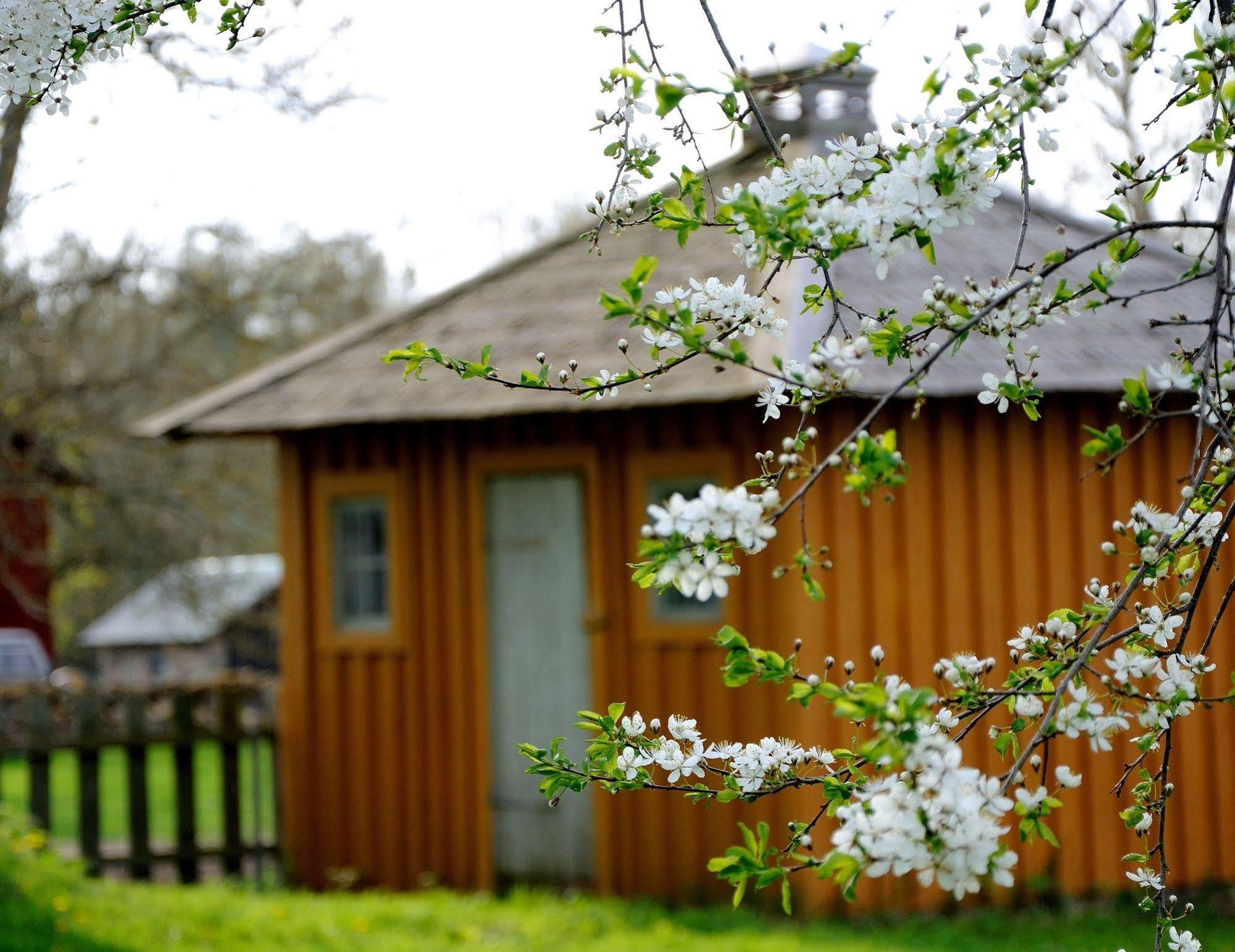 Naestegarden Bed & Breakfast Sätuna Екстериор снимка